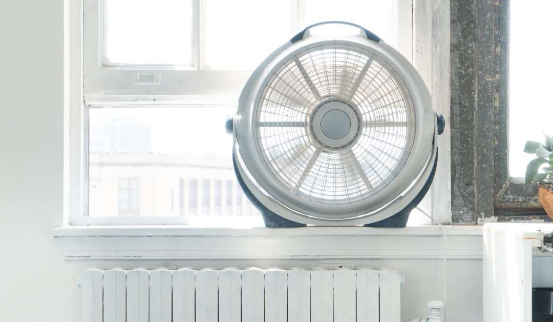 A fan on a window sill with an open window. There is a green plant near the fan, and the sun is shining.