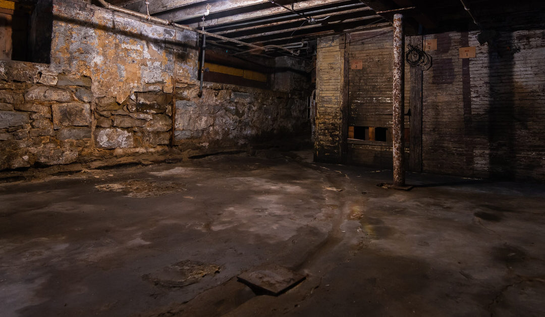 A dark, unfinished basement with one light turned on. The floor and walls are dirty and in disrepair.