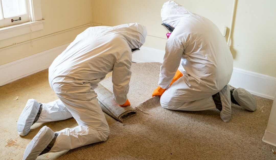 A Quick Guide to Testing Your Indoor Air Quality