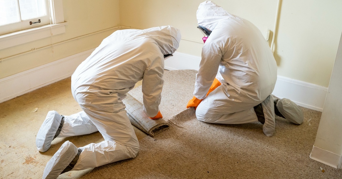 A Quick Guide to Testing Your Indoor Air Quality