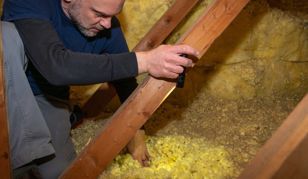 A man wearing a blue shirt kneels down in a crawl space in the attic of a house to inspect the insulation.